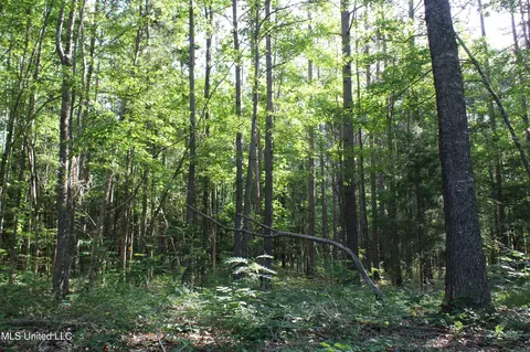 199 Betts Rd, Potts Camp, MS 38659 photo 14