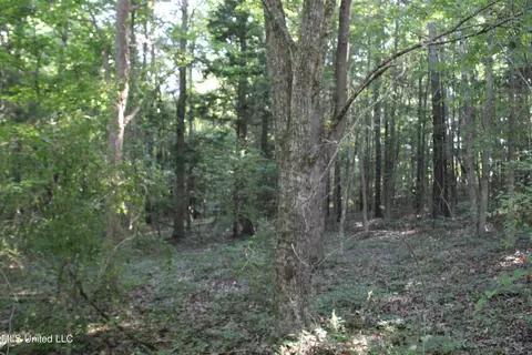 199 Betts Rd, Potts Camp, MS 38659 photo 9