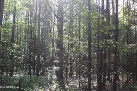 199 Betts Rd, Potts Camp, MS 38659 photo 17