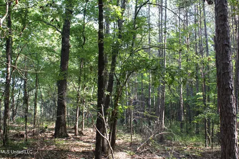 199 Betts Rd, Potts Camp, MS 38659 photo 18