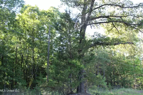 199 Betts Rd, Potts Camp, MS 38659 photo 22