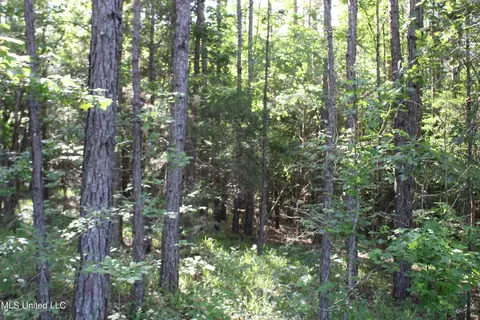 199 Betts Rd, Potts Camp, MS 38659 photo 20