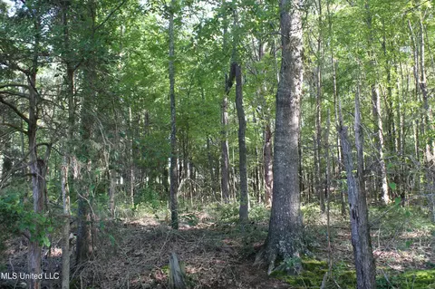 199 Betts Rd, Potts Camp, MS 38659 photo 13