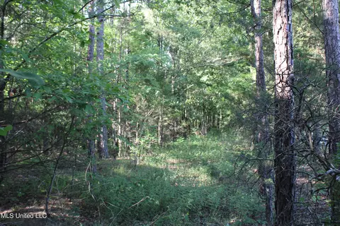 199 Betts Rd, Potts Camp, MS 38659 photo 16