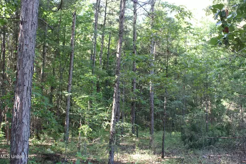 199 Betts Rd, Potts Camp, MS 38659 photo 21