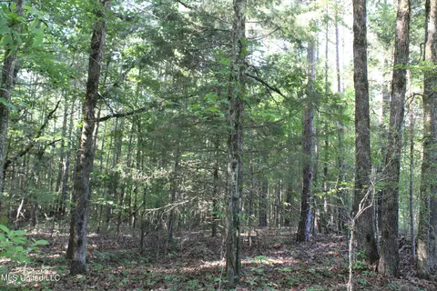 199 Betts Rd, Potts Camp, MS 38659 photo 23