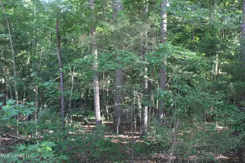 199 Betts Rd, Potts Camp, MS 38659 photo 4