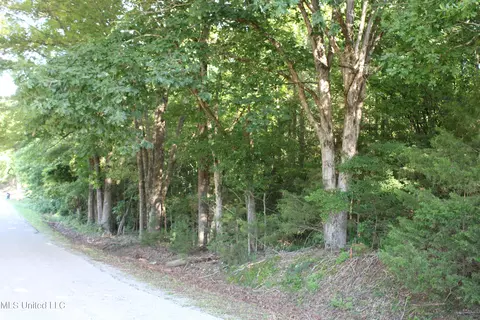 199 Betts Rd, Potts Camp, MS 38659 photo 6