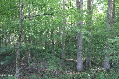 199 Betts Rd, Potts Camp, MS 38659 photo 8