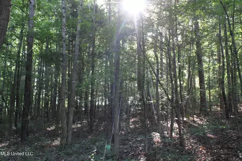 199 Betts Rd, Potts Camp, MS 38659 photo 10