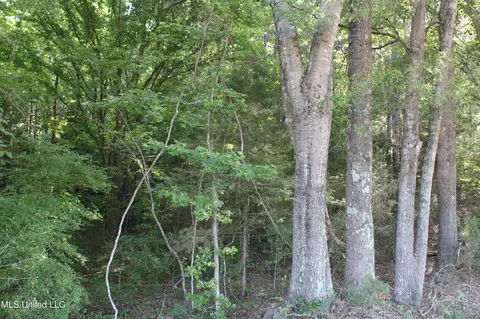 199 Betts Rd, Potts Camp, MS 38659 photo 7
