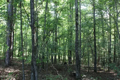 199 Betts Rd, Potts Camp, MS 38659 photo 24