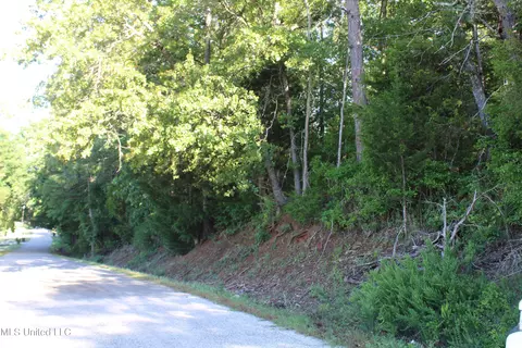 199 Betts Rd, Potts Camp, MS 38659 photo 2