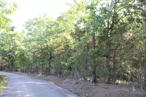 199 Betts Rd, Potts Camp, MS 38659 photo 19