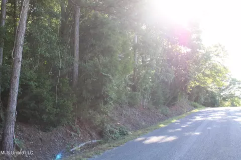 199 Betts Rd, Potts Camp, MS 38659 photo 3