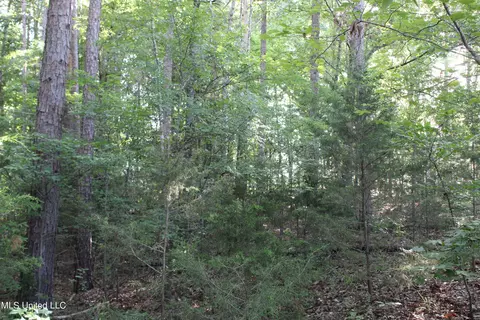 199 Betts Rd, Potts Camp, MS 38659 photo 5