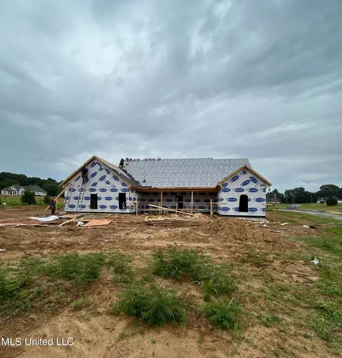 121 Deerfield Trce, Coldwater, MS 38618 photo 2