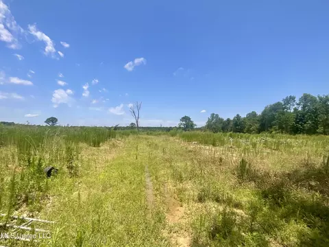 Sol Grubbs Rd Road, Mendenhall, MS 39114
