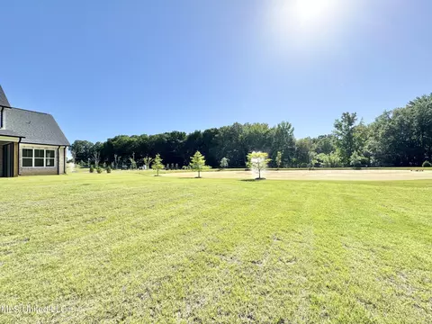 5054 Reserve Way, Hernando, MS 38632 photo 39