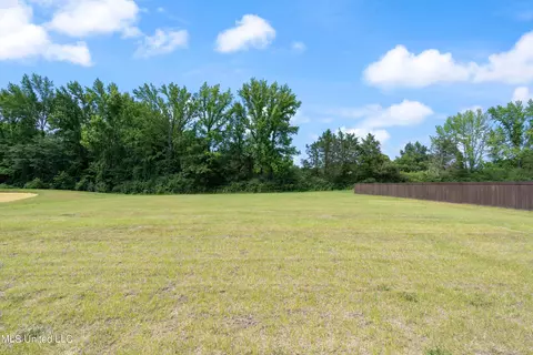 5054 Reserve Way, Hernando, MS 38632 photo 44
