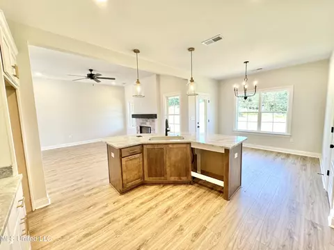Kitchen - 5046 Watson View Dr, Nesbit, MS 38651 photo 3 of 3