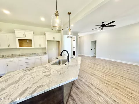 Other - 5046 Watson View Dr, Nesbit, MS 38651 photo 3 of 7