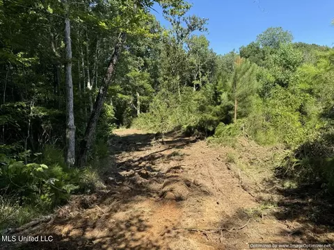 2831 SE Union Rd, Brookhaven, MS 39601 photo 14