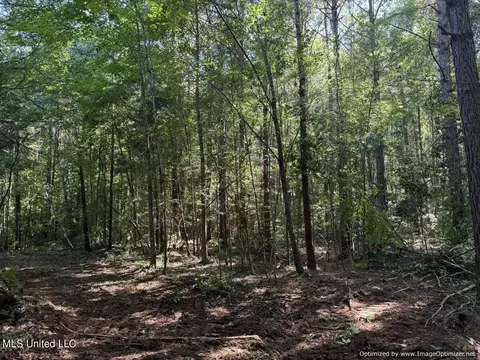 2831 SE Union Rd, Brookhaven, MS 39601 photo 27