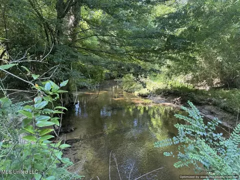 2831 SE Union Rd, Brookhaven, MS 39601 photo 36