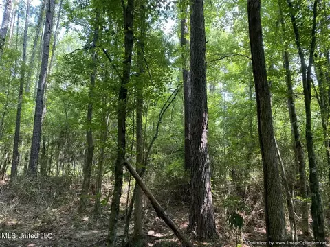 2831 SE Union Rd, Brookhaven, MS 39601 photo 6