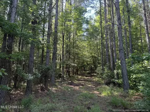 2831 SE Union Rd, Brookhaven, MS 39601 photo 39