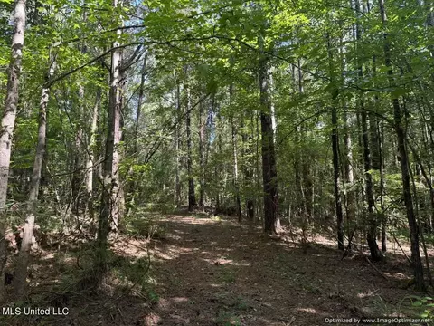 2831 SE Union Rd, Brookhaven, MS 39601 photo 43