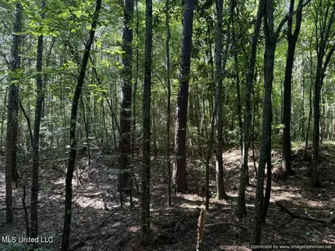 2831 SE Union Rd, Brookhaven, MS 39601 photo 20
