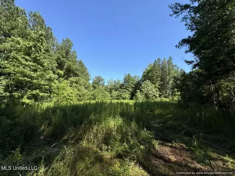 2831 SE Union Rd, Brookhaven, MS 39601 photo 40
