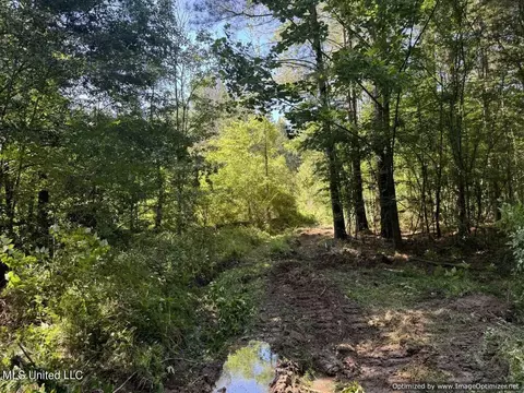 2831 SE Union Rd, Brookhaven, MS 39601 photo 37