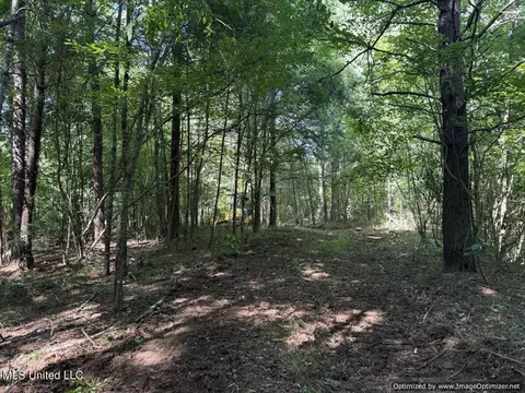 2831 SE Union Rd, Brookhaven, MS 39601 photo 25
