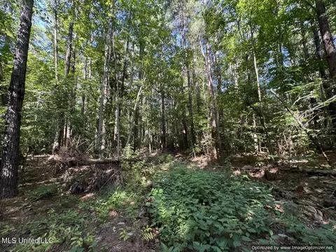 2831 SE Union Rd, Brookhaven, MS 39601 photo 41