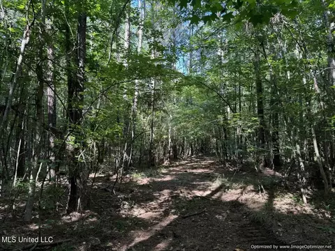 2831 SE Union Rd, Brookhaven, MS 39601 photo 42