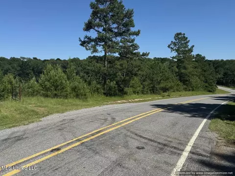 2831 SE Union Rd, Brookhaven, MS 39601 photo 8