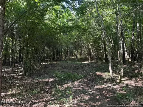 2831 SE Union Rd, Brookhaven, MS 39601 photo 15