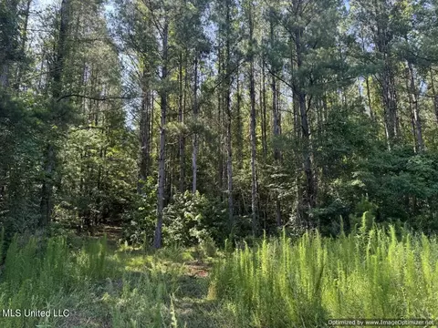 2831 SE Union Rd, Brookhaven, MS 39601 photo 38