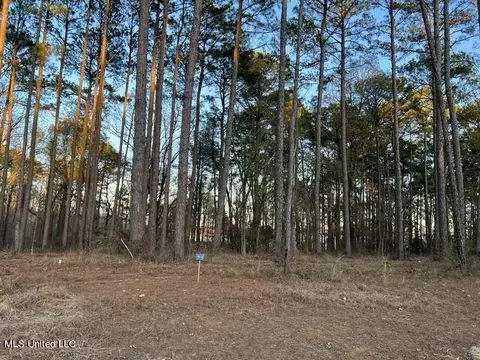 lot23 Neptune Shr, Canton, MS 39046 photo 14