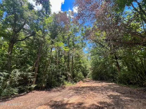 60 Ac Lymon Havard Ln, Lucedale, MS 39452