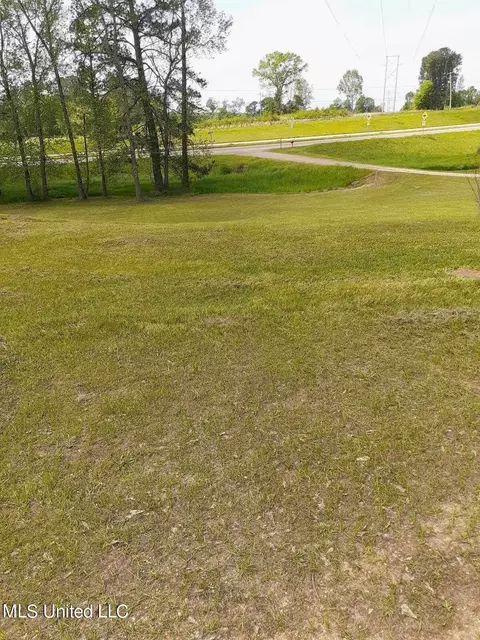 Other - 109 Mamies Rd, Mount Olive, MS 39119 photo 1 of 7