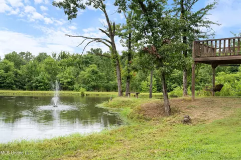 4392 Sunset Rd, Nesbit, MS 38651 photo 10