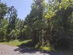 00 Woodman, Pass Christian, MS 39571
