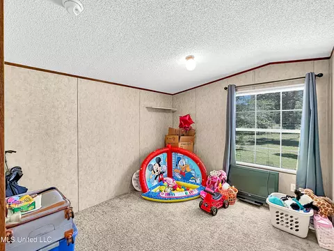 120 Libby Ln, Braxton, MS 39044 photo 15