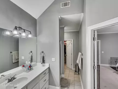 Bath - 426 Old Town Cir, Brandon, MS 39042 photo 3 of 4