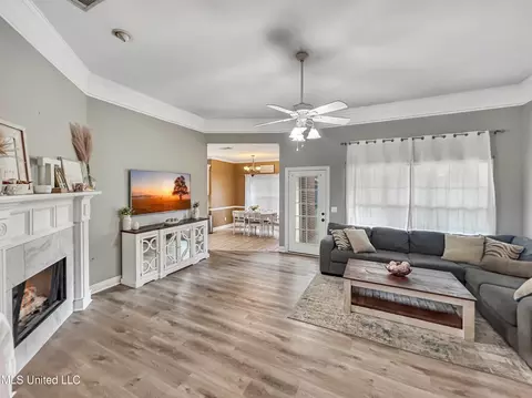 Living - 426 Old Town Cir, Brandon, MS 39042 photo 1 of 1