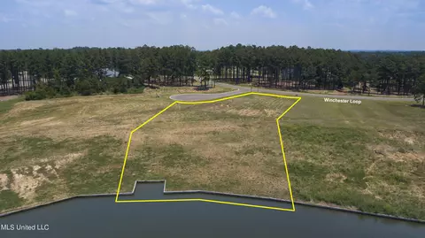 38 Winchester Cove # z, Madison, MS 39110